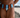 The Riviera Swim Brief